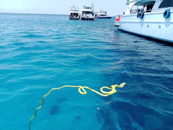 "Protecting Hurghada's Coral Reefs: HEPCA Moorings Team's Dedication in Action